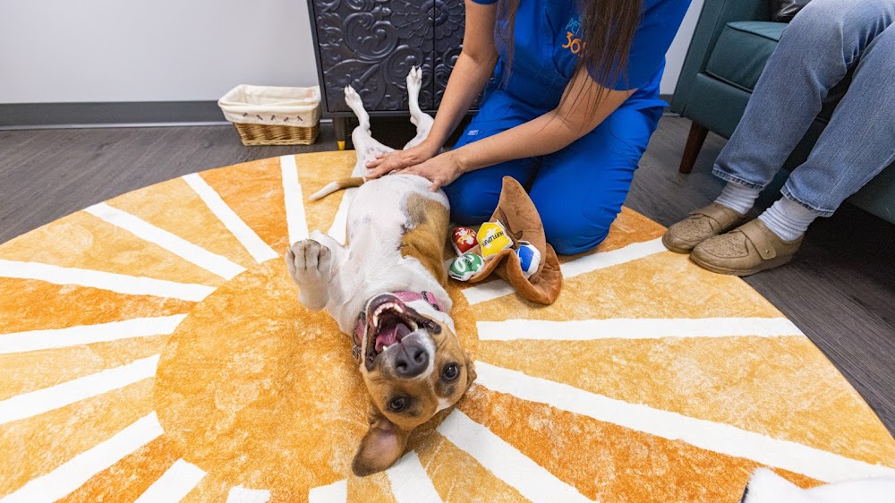 PetVet365 Pet Hospital Denver / University
