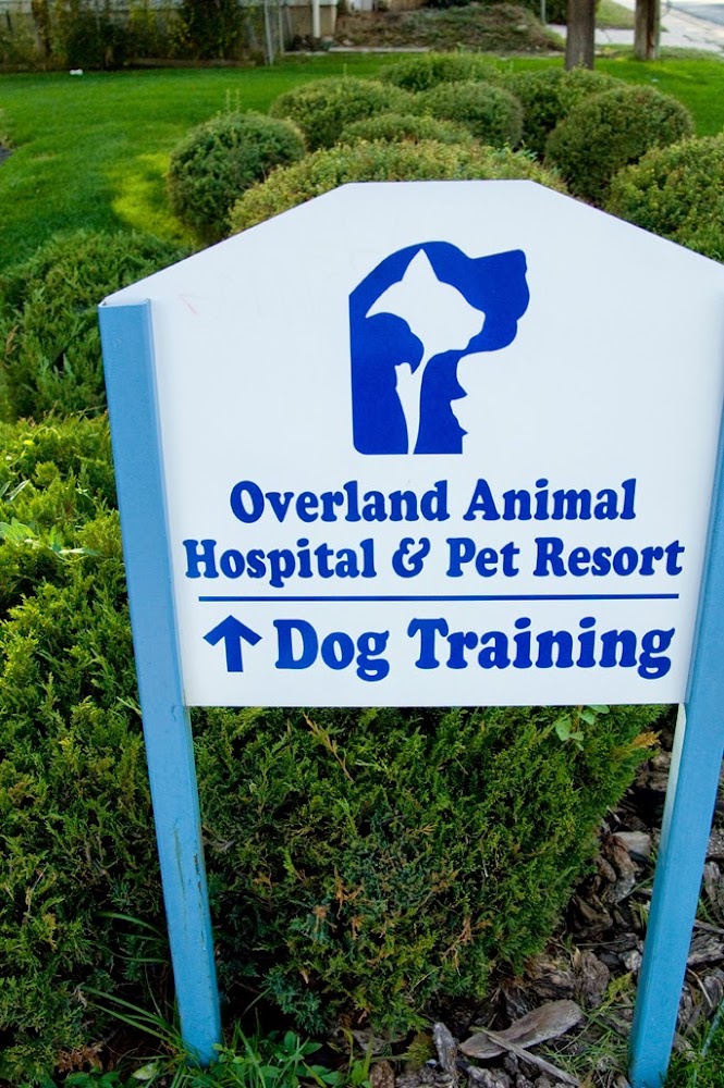 Overland Animal Hospital