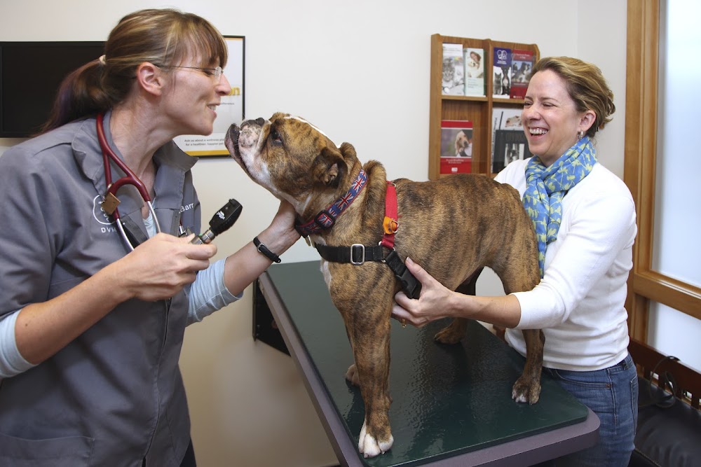 Tender Touch Animal Hospital