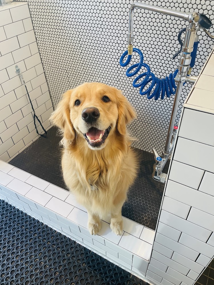 MoVET @ Belleview Station