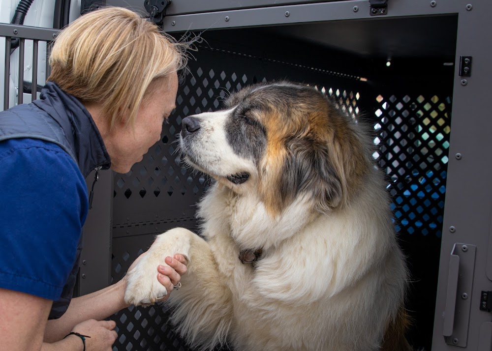 Pet Medical Transport