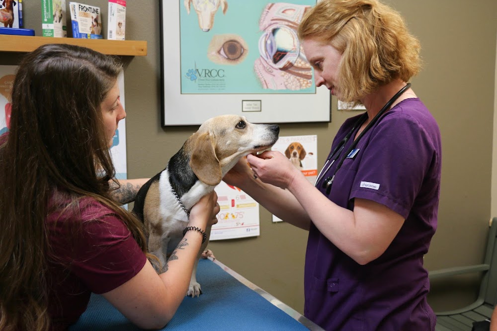 Indian Tree Animal Hospital