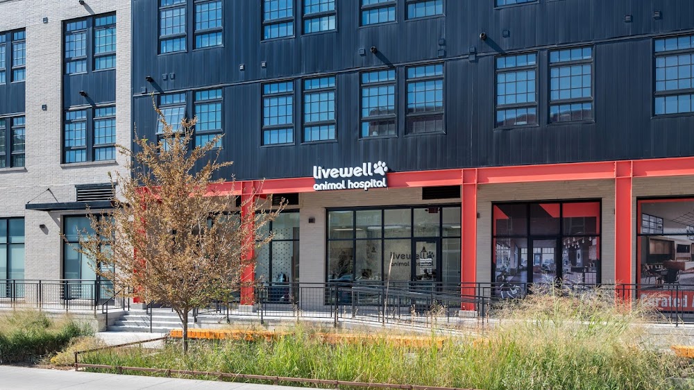 Livewell Animal Hospital of RiNo
