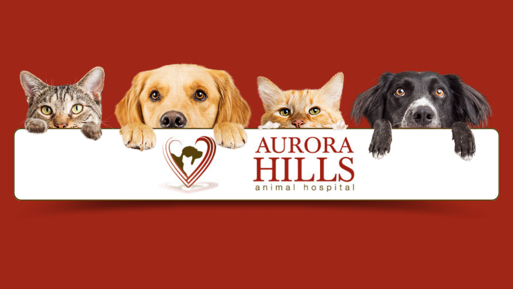 Aurora Hills Animal Hospital