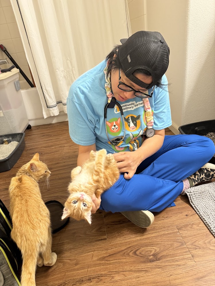 Mobile Small Animal Clinic