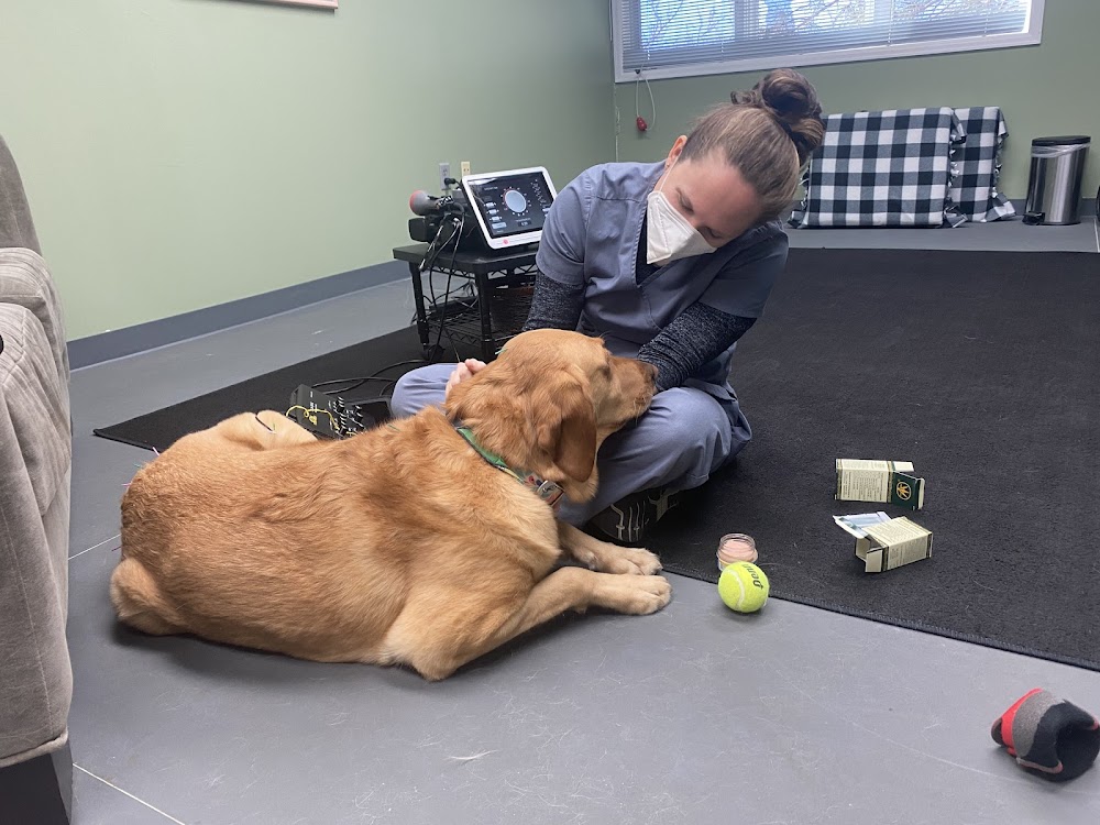 Balanced Animal Wellness, LLC