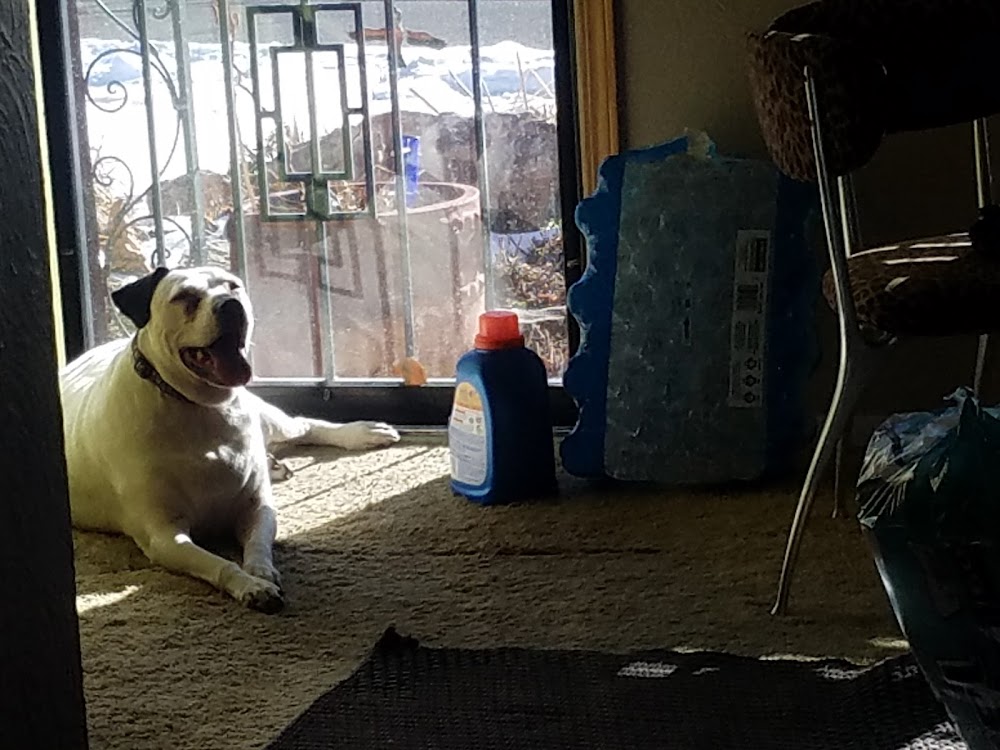 Hermosa Veterinary Clinic