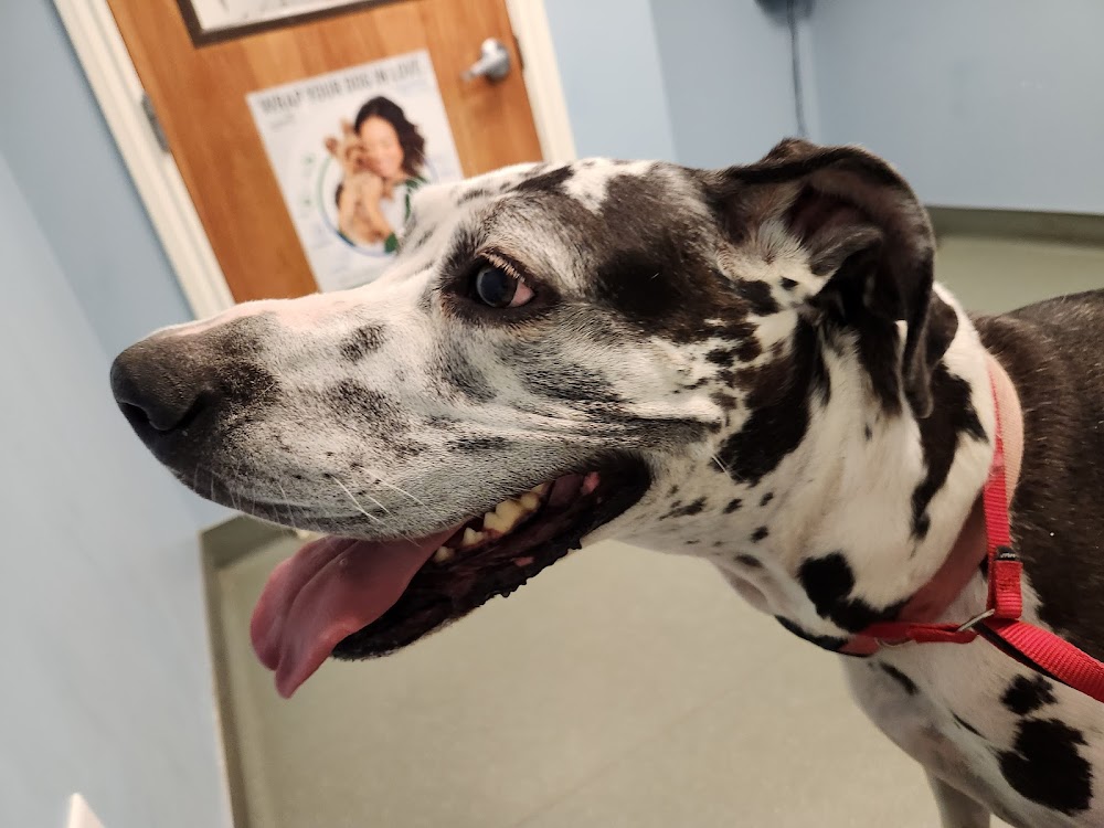 Highlands Animal Clinic