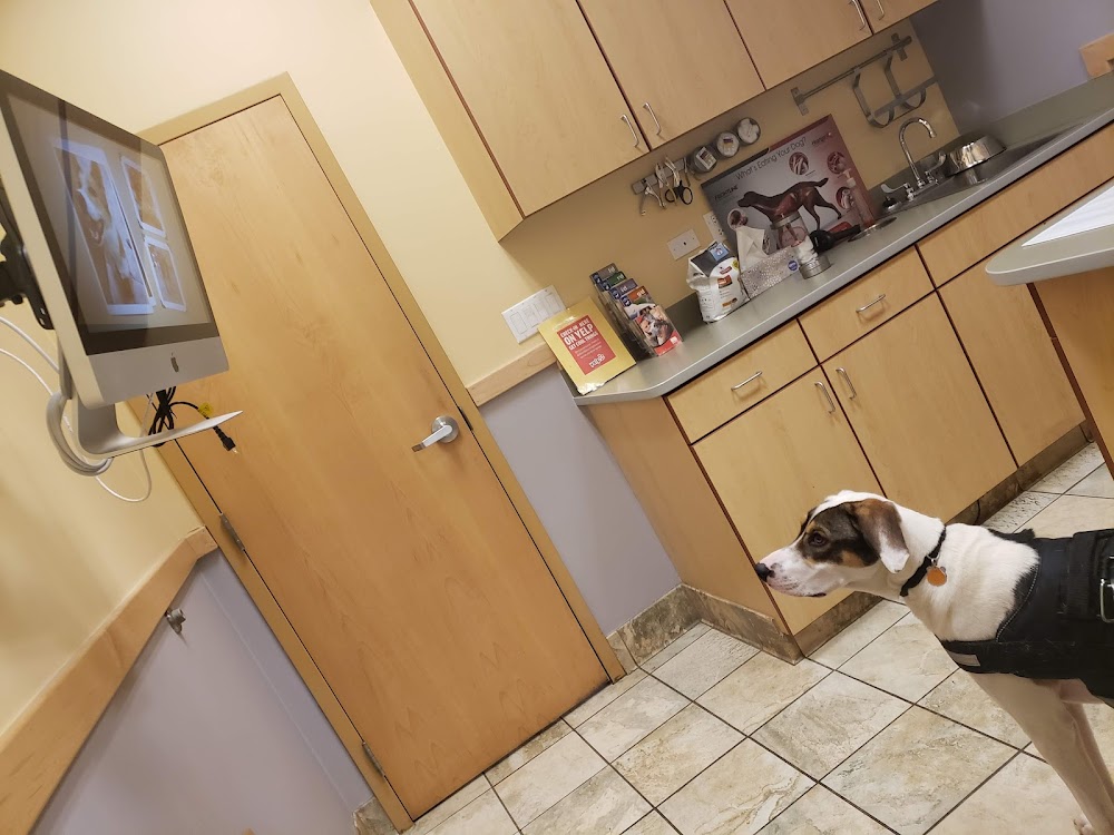 Bear Valley Veterinary Care Center